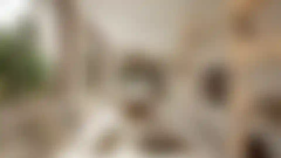 image for main block