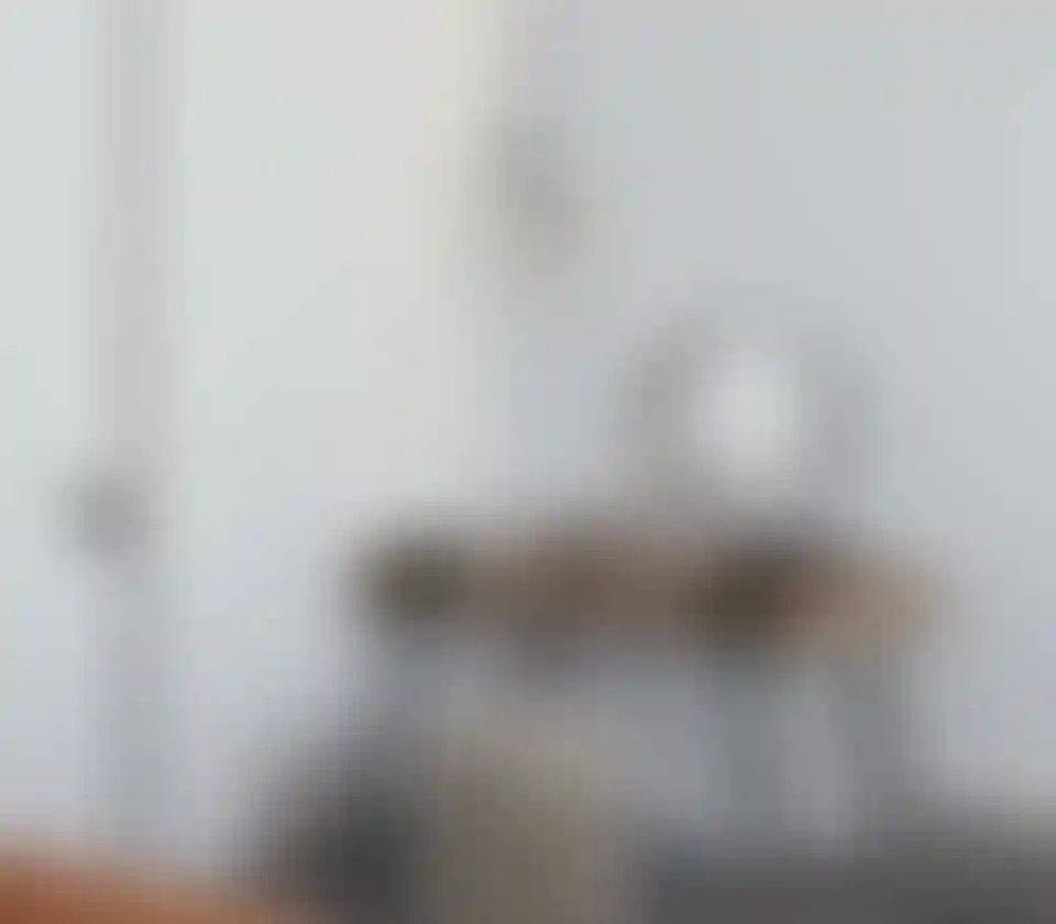 image for main block