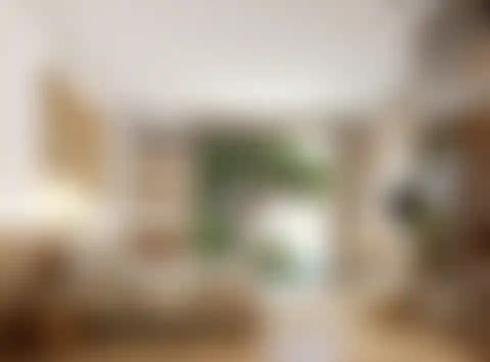 image for main block