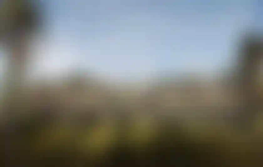 image for main block