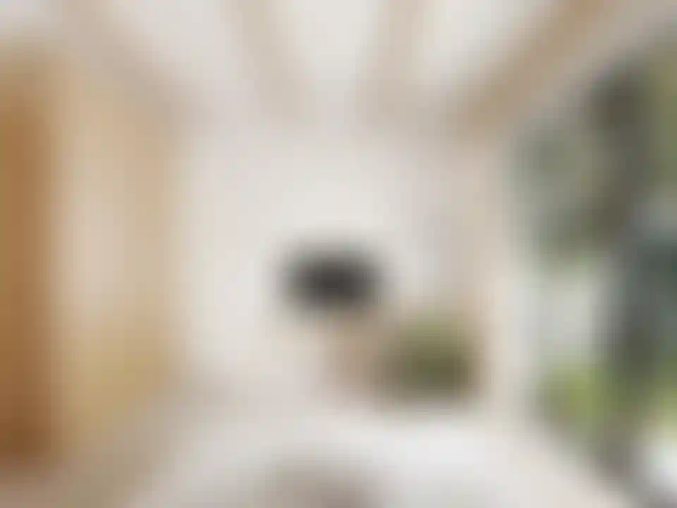 image for main block