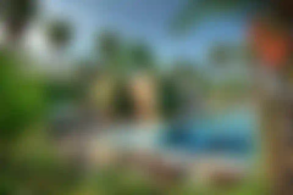 image for main block