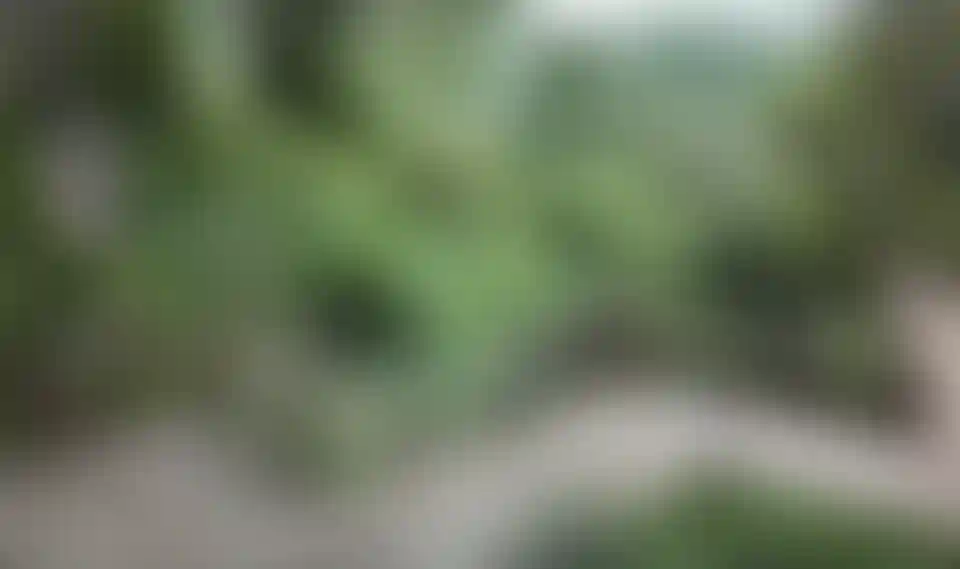 image for main block