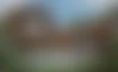 image for main block