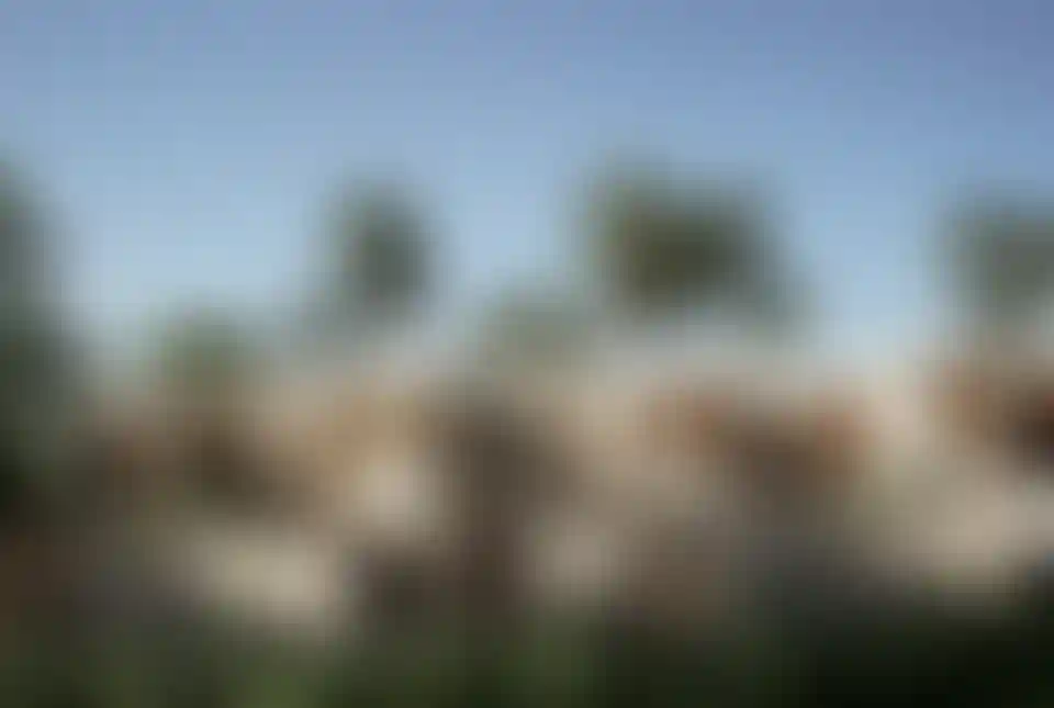 image for main block