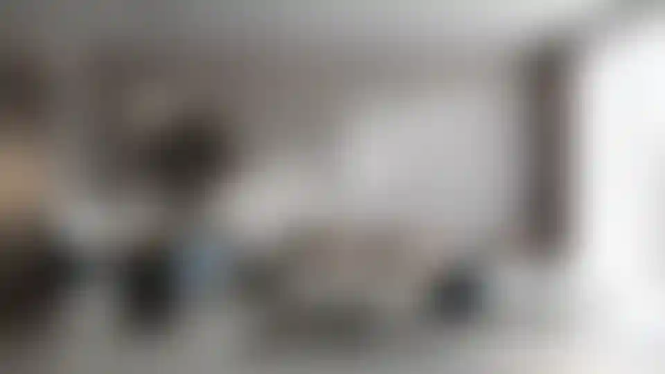 image for main block