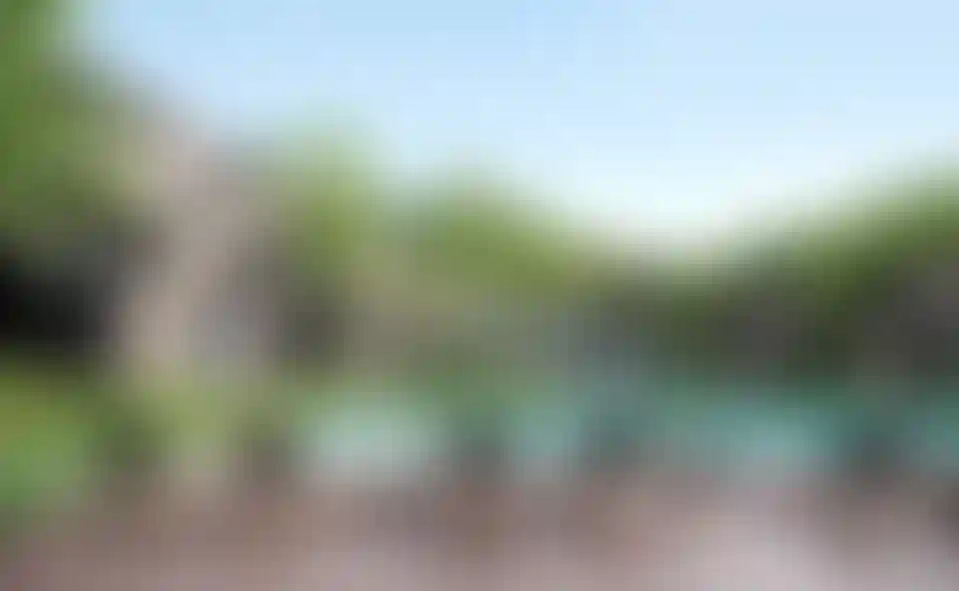 image for main block