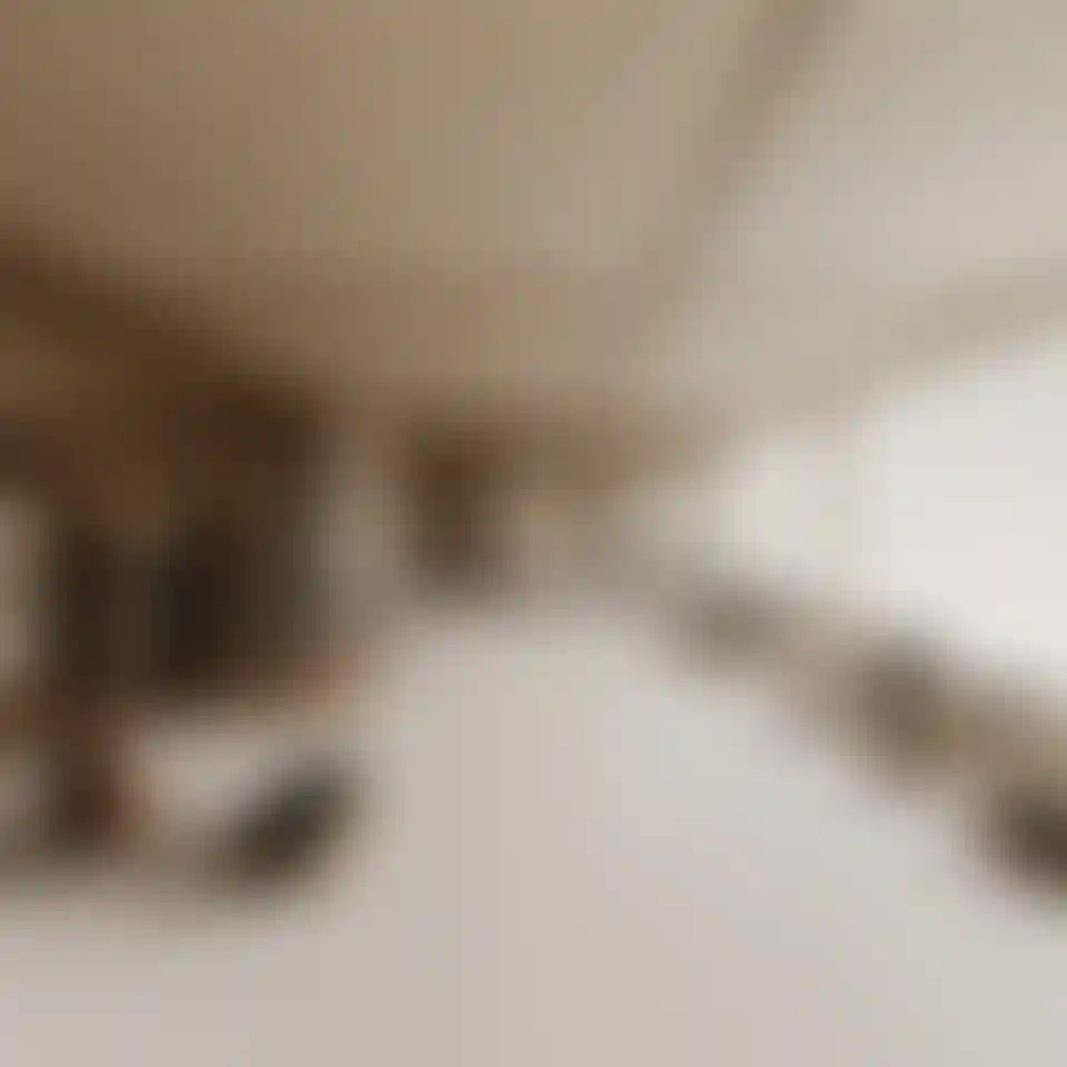 image for main block