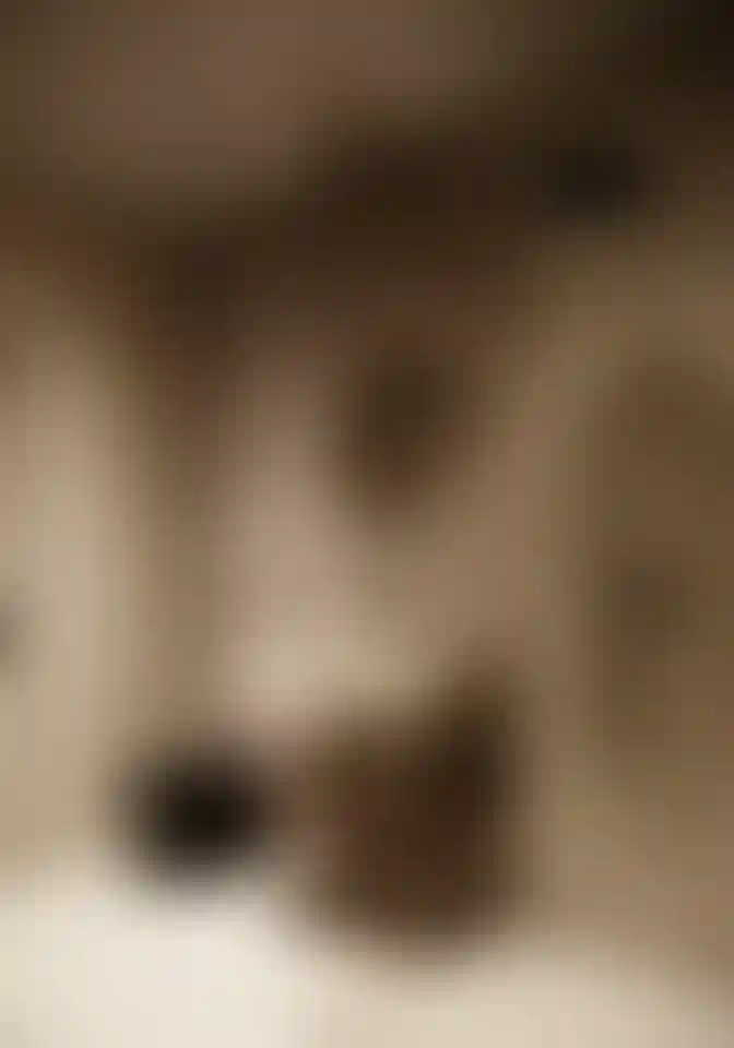 image for main block