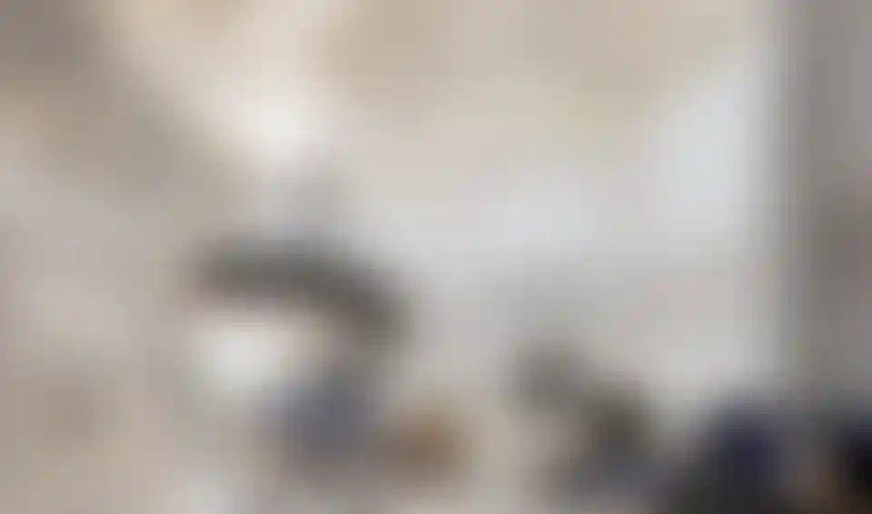 image for main block