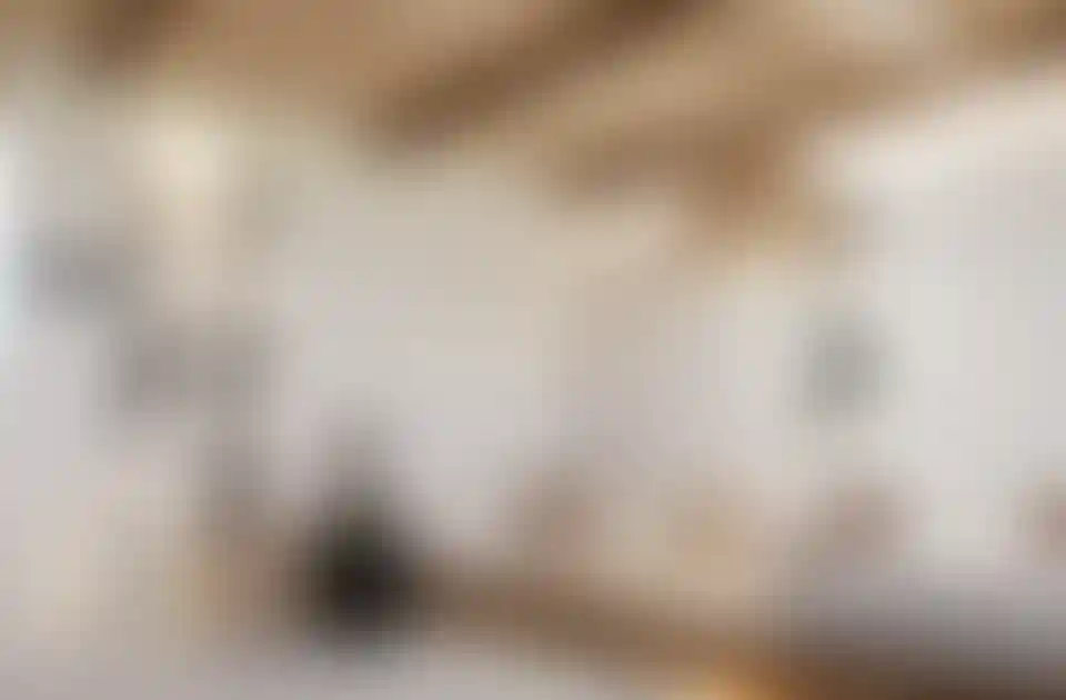 image for main block