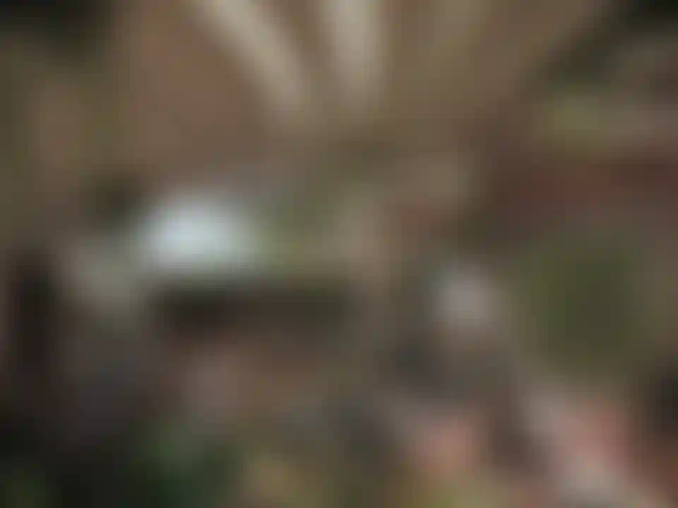 image for main block