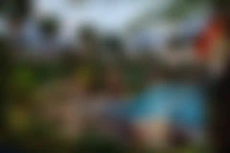 image for main block