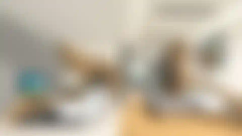 image for main block