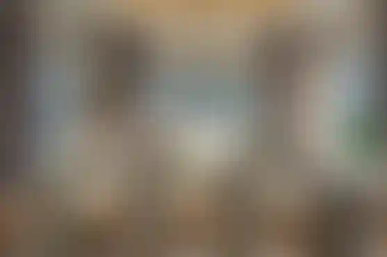 image for main block