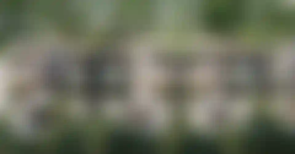 image for main block