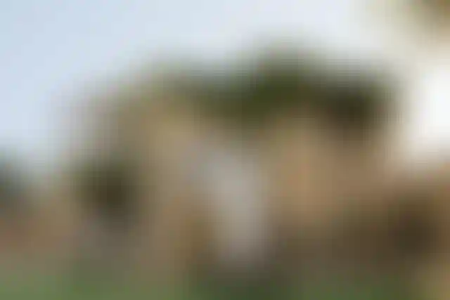 image for main block