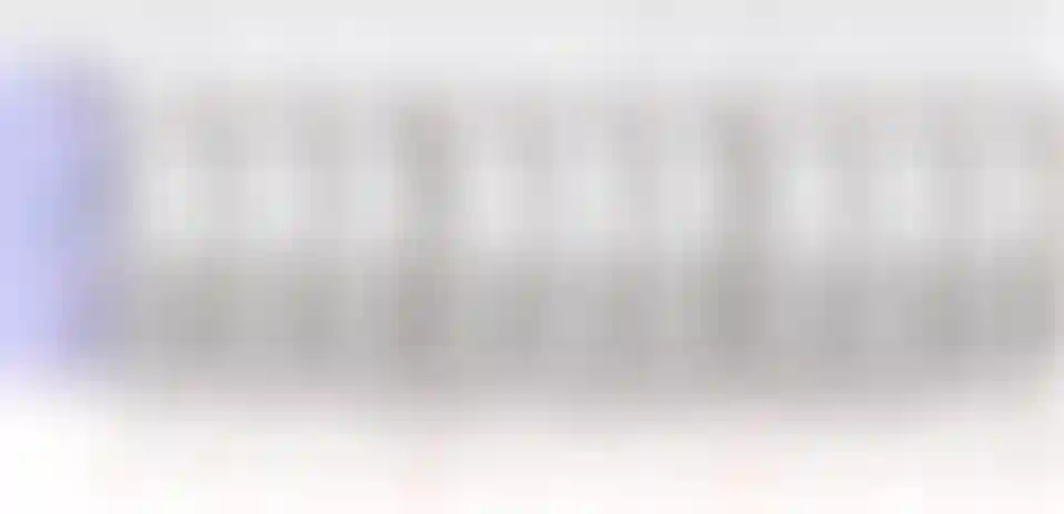 image for main block