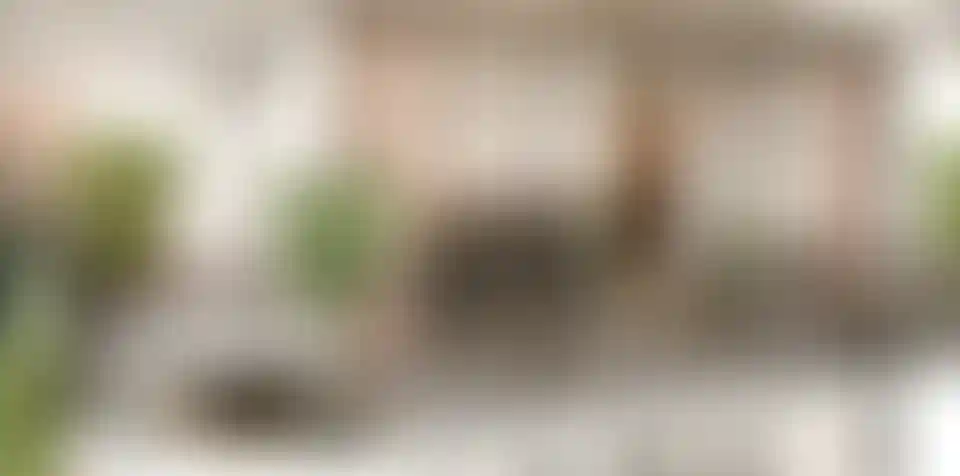 image for main block