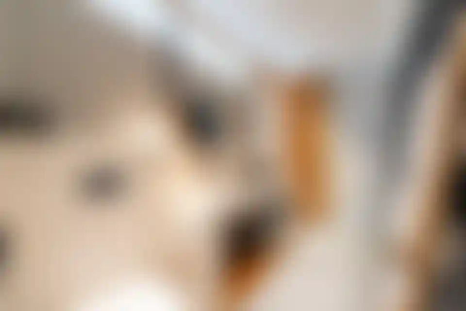 image for main block