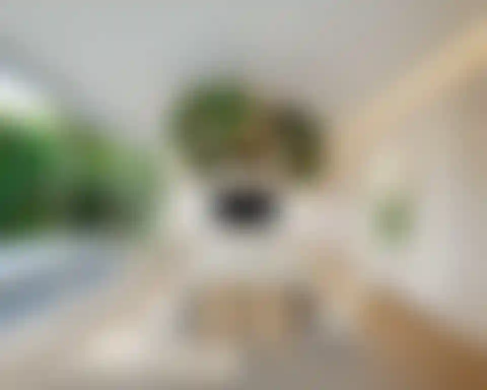 image for main block