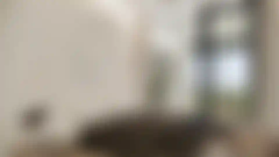 image for main block