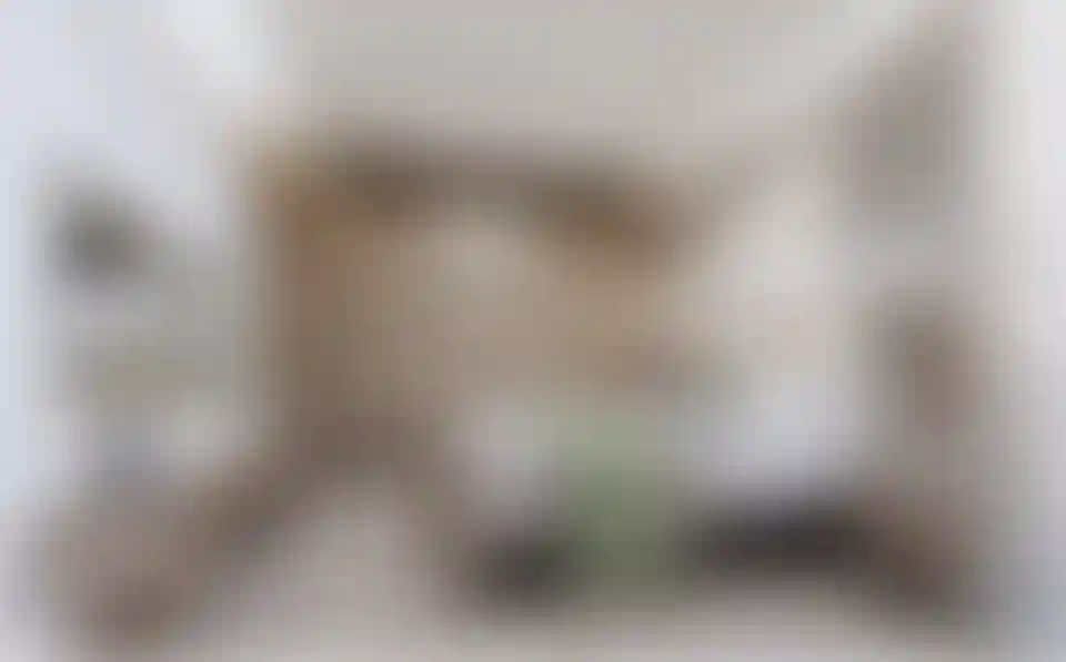 image for main block