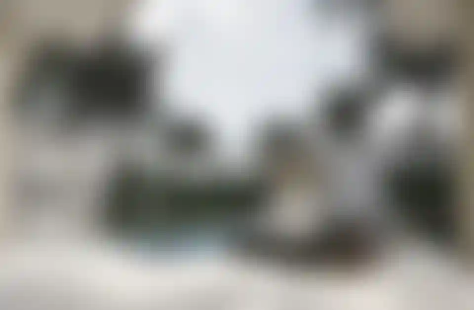 image for main block