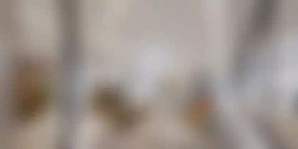 image for main block