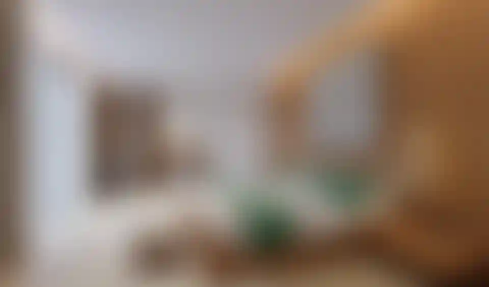 image for main block