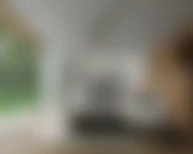 image for main block