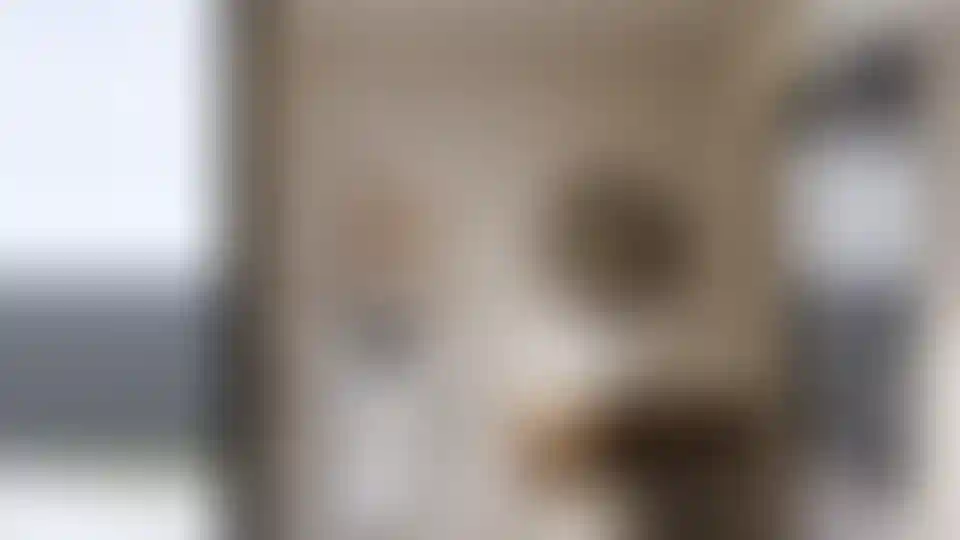 image for main block