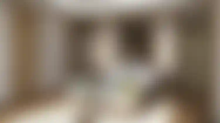 image for main block