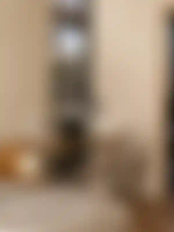 image for main block