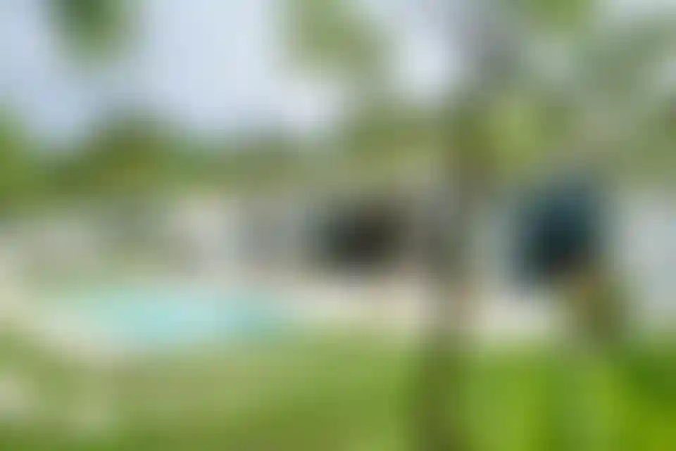 image for main block