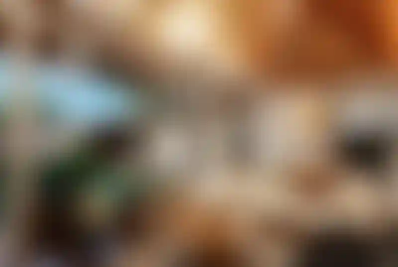 image for main block