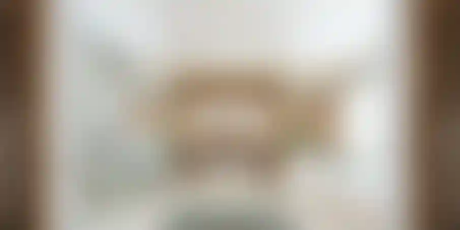 image for main block