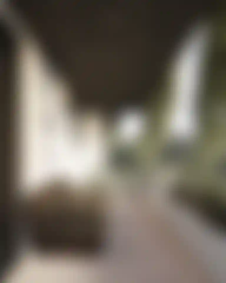 image for main block