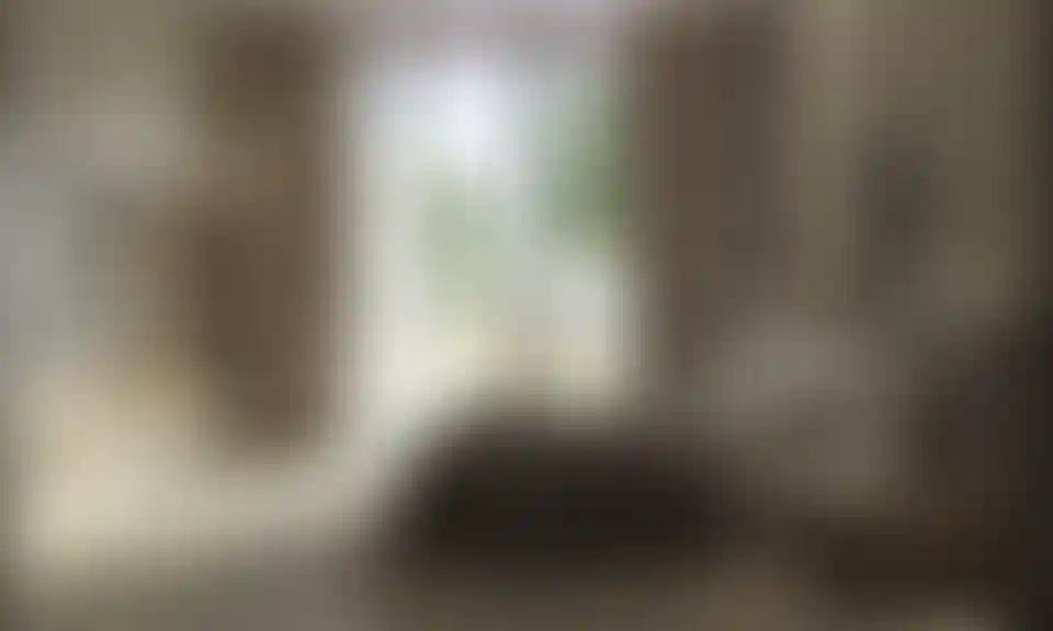 image for main block