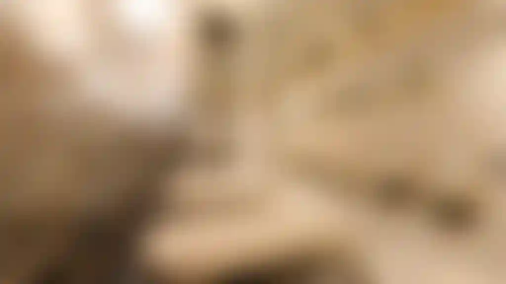 image for main block
