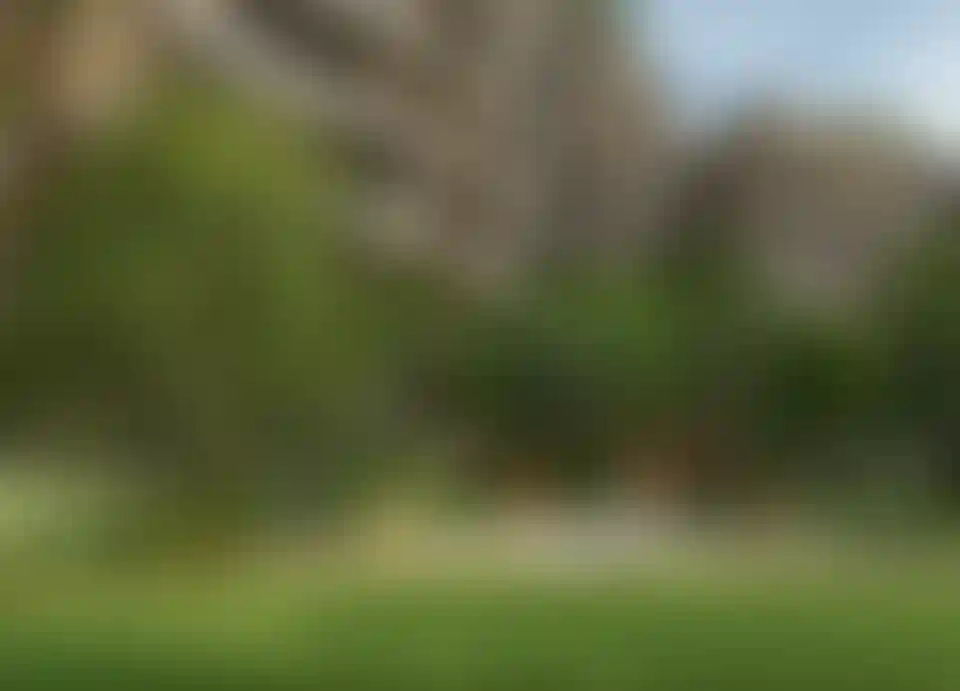 image for main block