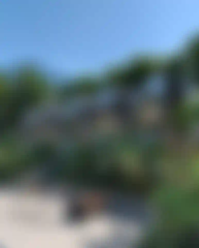 image for main block