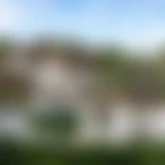 image for main block