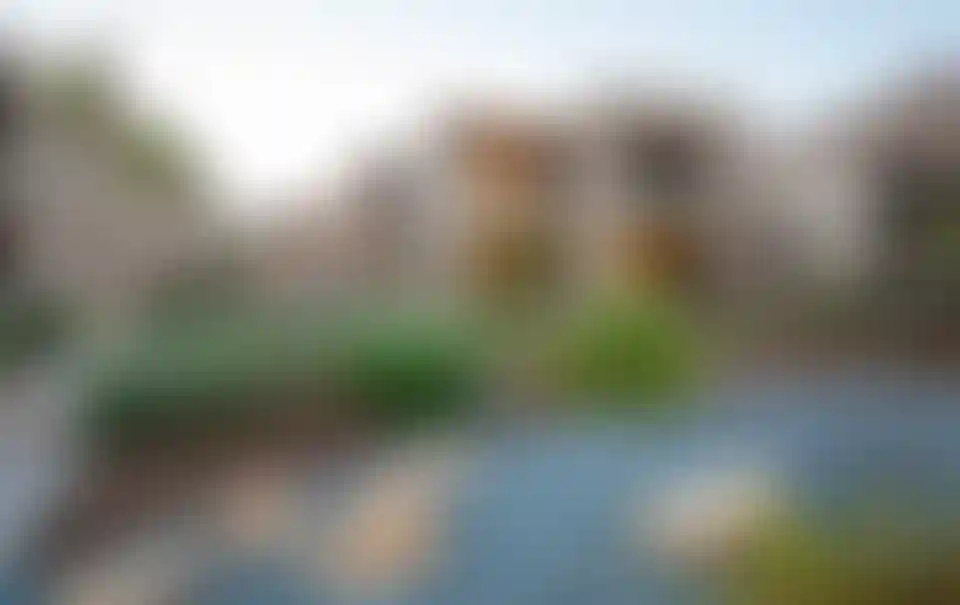 image for main block