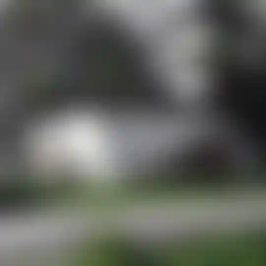 image for main block