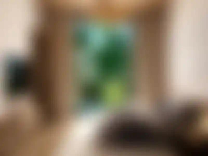 image for main block