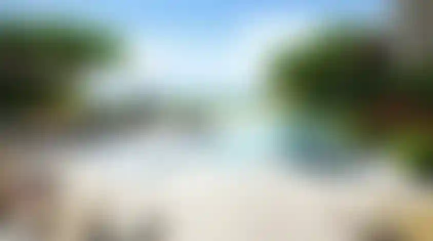 image for main block