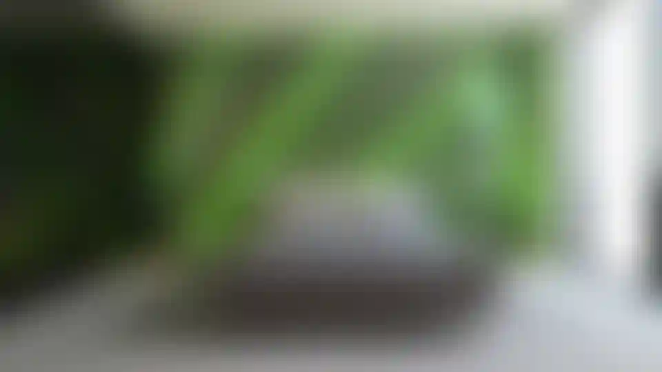 image for main block