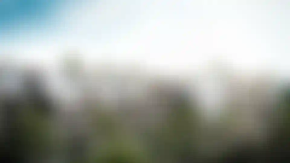 image for main block