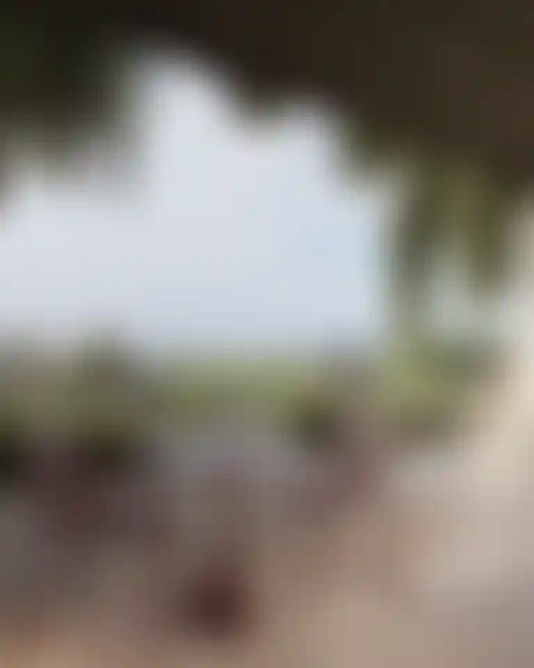 image for main block